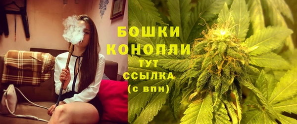 мдпв Дмитриев