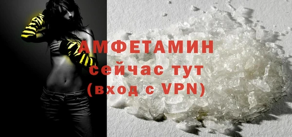 мдпв Дмитриев
