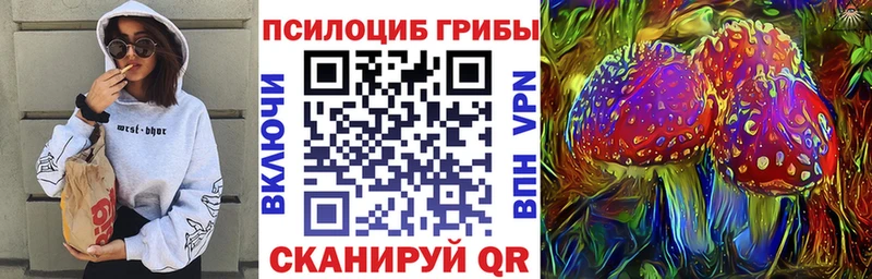 Псилоцибиновые грибы Psilocybine cubensis  наркотики  Миньяр 